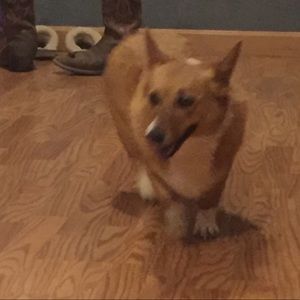 Meet your Posher, Vanessa